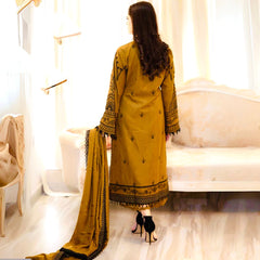 Lady look-011