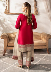 Pakistani red suit